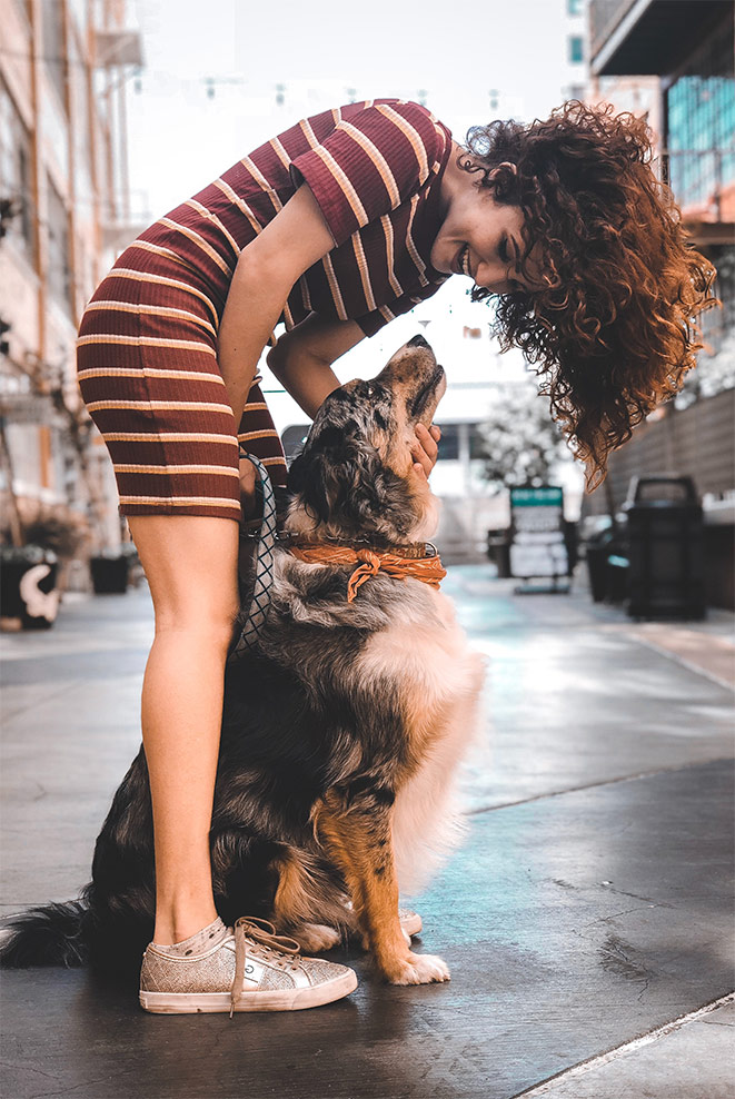 Un chien et sa maîtresse