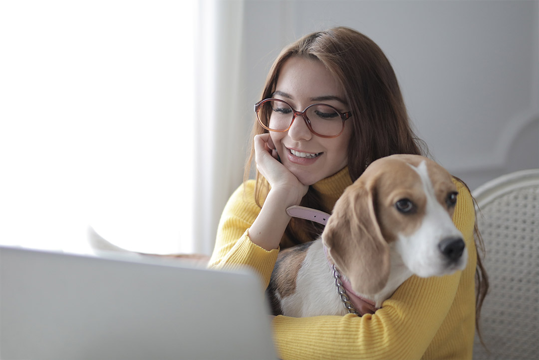 Une dame avec son chien devant son ordinateur